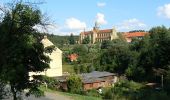 Excursión A pie Kladruby - Okružní naučná stezka Kladruby - Photo 8