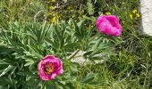 Randonnée Marche Saint-Vallier-de-Thiey - St Vallier : Colle du  maçon doublier  - Photo 2