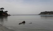 Tocht Stappen La Londe-les-Maures - La l'onde les maures Normes les MIMOSAS littoral  - Photo 5