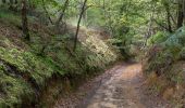 Trail Walking Sablons sur Huisne - Condé-sur-Huisne - Rémalard via La Courroue 12 km - Photo 4