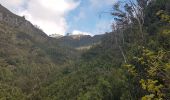 Tour Wandern Funchal (Santa Maria Maior) - Monte par le Levada do Bom Sucesso (Rother n°2 inversé) - Photo 16