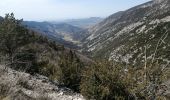 Excursión Senderismo Beaumont-du-Ventoux - sommet de la plate - Photo 6