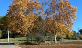 Tour Wandern Aix-en-Provence - Les Milles tour du mont Robert - Photo 1