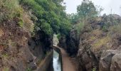 Excursión Senderismo Ribeira Brava - Levada Boa Morte - Photo 3