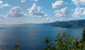 Tour Zu Fuß Camogli - San Rocco - Monte Portofino - Pietre Strette - Photo 4