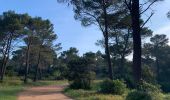 Percorso Marcia Aix-en-Provence - Prés d'Aix, les barrages de Bimont et Zola - Photo 1