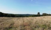 Tocht Stappen La Touche - Citelles hameau et ruisseaux 10km - Photo 2