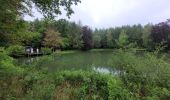 Tocht Stappen Vresse-sur-Semois - rando vresse sur semois 2-06-2024 - Photo 17