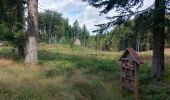 Trail Walking Raon-aux-Bois - raon aux bois anniversaire Président  - Photo 1