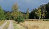 Percorso Marcia Martelange - Sentier des Goutelles des Bacs - Photo 3