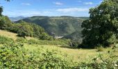 Tocht Stappen Blanzac - Rachat - Chapelle de Chassaleuil - Photo 19