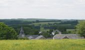 Tocht Te voet Habay - Le Chemin du Harnussiau - Photo 3