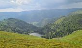 Randonnée Marche Stosswihr - Honeck depuis Gaschney - Photo 4