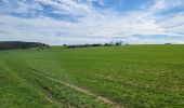 Trail Walking Bertrix - Auby sur Semois 140324 - Photo 19