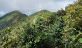 Tocht Stappen Le Lorrain - Carabin - Morne Jacob N2 - Photo 20