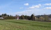 Tour Zu Fuß Zeulenroda-Triebes - Rundweg Zeulenrodaer Meer - Photo 3