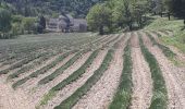 Tocht Stappen Gordes - cordes col des 3 thermes abbaye de senanque les bories - Photo 6