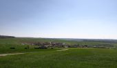 Tocht Te voet Weikersheim - Planetenweg Weikersheim - Photo 2