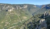 Trail Walking Le Rozier - Corniches de Mejean - Photo 10