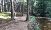 Trail Walking Raeren - petergensfeld - rando propose par l office du tourisme ost belgien  - Photo 11