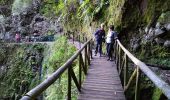 Tour Wandern Ribeira da Janela - Levada dos Cedros - Photo 14