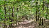 Trail Walking Lavoûte-sur-Loire - lavoute sur loire boucle 11 km - Photo 5