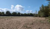 Trail Walking Luynes - Luynes la Rue Barbier - la Loire et l'Aqueduc - 12.3km 100m 3h20 (35mn) - 2025 09 15 - Photo 4