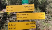 Trail Walking Sénéchas - Sénéchaussée - Photo 10