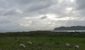 Trail On foot Māngere-Ōtāhuhu - Watercare Coastal Walkway - Photo 7