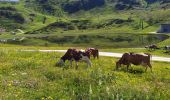 Trail Walking Untertauern - Seekarspitze - Photo 3