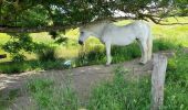 Trail Walking Estaing - live Estaing - Golinhac - Photo 13