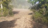 Randonnée Marche La Canourgue - la canourgue les vignes - Photo 3