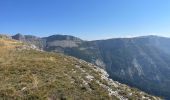 Tocht Stappen Omblèze - Plateau ambel  - Photo 6