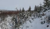 Randonnée A pied Jalhay - Balade dans les Hautes Fagnes - Photo 8