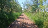 Trail Walking Vias - Camping Ste Cécile-La Tamarissière-Farinette - Photo 11