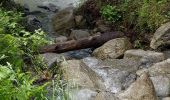 Randonnée Marche Chamonix-Mont-Blanc - Les Tines Argentière par l'Arve - Photo 12