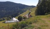 Tour Wandern Markirch - Crête granitique et forêts profondes - Photo 10