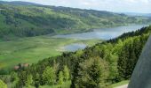 Percorso A piedi Immenstadt im Allgäu - Großer Alpsee Rundwanderweg - Photo 5