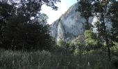 Percorso A piedi Sasca Montană - Sasca Română – Cheile Nerei (red triangle) - Photo 6