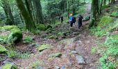 Trail Walking Metzeral - Lac du Schiessrothried - Marcairie du Frankenthal- Retour - Photo 7