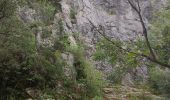 Trail Walking Saint-Jean-de-Buèges - St Jean de Buèges  - Photo 3
