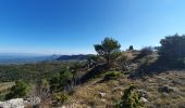 Trail Walking Mazaugues - le Mourre d'Agnis au départ du Caucadis - Photo 11