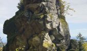 Tour Wandern Masevaux-Niederbruck - houpach rocher corbeau les buissonnets bourbach ht - Photo 1