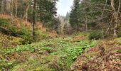 Trail Walking Saint-Sauves-d'Auvergne - Chalannes-stéle-charbonniere - Photo 9