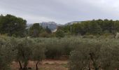 Trail Walking Maussane-les-Alpilles - le cirque du grimpeur solitaire  - Photo 4