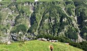 Trail Walking Sixt-Fer-à-Cheval - Lac Vogealle depuis chalet de Boret - Photo 5