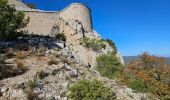 Randonnée Marche Toulon - Autour du Faron - Photo 5