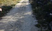 Trail Walking Vesc - Hubac de Ruy - Photo 5