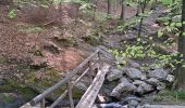 Percorso Marcia Aywaille - Tour du Ninglinspo par le ruisseau du Chefna -  ballade de la mine d'or - Photo 6