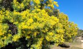 Randonnée Marche Roquebrune-sur-Argens - Massif flute - Photo 3